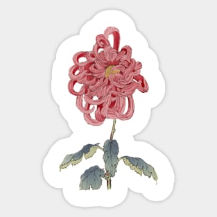 Hasegawa Flowers Sticker